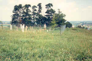 Grave-TallmanBenjamin1745-3.jpg (5915955 bytes)